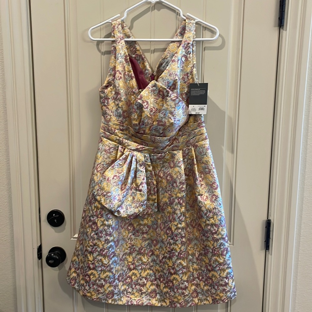 Zac Posen for Target dress